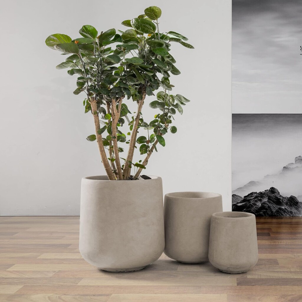 Concrete Planters Amazon Best Seller